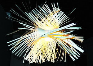 �ۻ����y���������Ҿ��OӋ