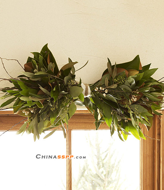 ʥ�Q��(l��i)�������@Щ�b�Ʒ