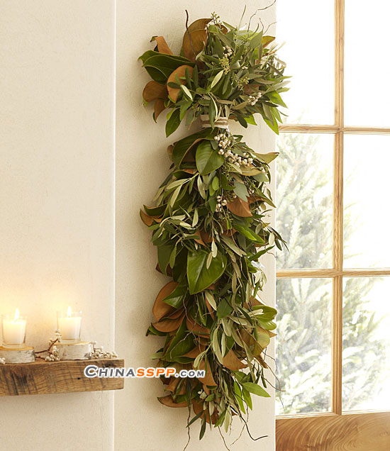 ʥ�Q��(l��i)�������@Щ�b�Ʒ