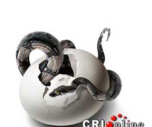 õ(chung  )(jng)ҾƷ