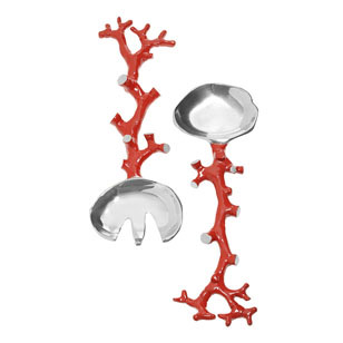 ͹L(fng) ;߄eL(fng)