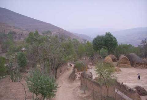 �o����̺�ӹ���(sh��)�FҎģ�l(f��)չ