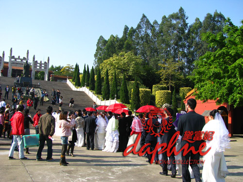 ϲ�Y�B���������