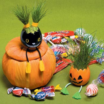 (chung  )ּҾ׌옷(l )o(w)߅