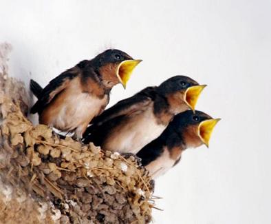 ��(chu��ng  )�I(y��)�ؿ�ʮ��(j��ng)��Ҫ�E