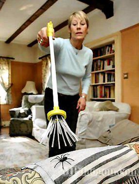 (li)Ą(chung  )@˼Ҿ