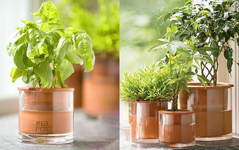 �w���߱�4�(chu��ng  )�⻨��