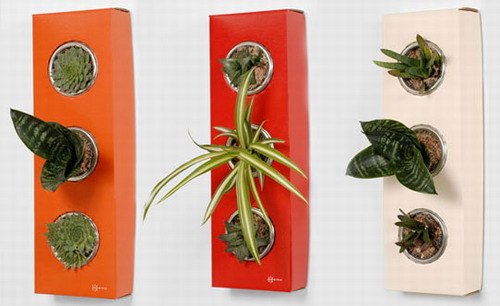 �w���߱�4�(chu��ng  )�⻨��