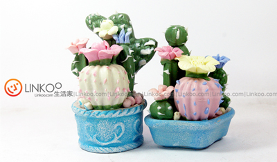 ʮ(chung  )ȤҾС