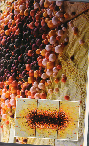 �n����(chu��ng  )�������p��