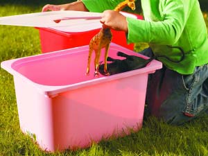 С�Ɍ�(sh��)�ü�Ʒ�o���(h��)��Ĝ�ܰ