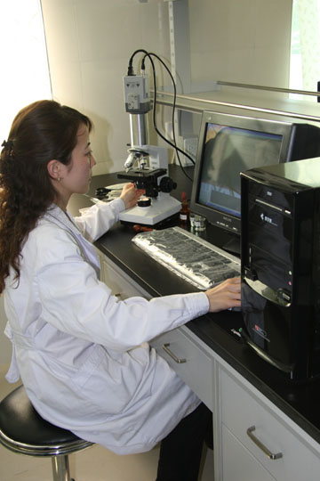 �Ї��������I(y��)�f(xi��)��(hu�� )�z�y������ס��t�T(m��n)