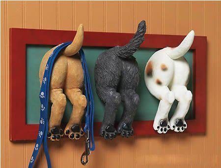 12��(g��)��(chu��ng  )�≦�^�����