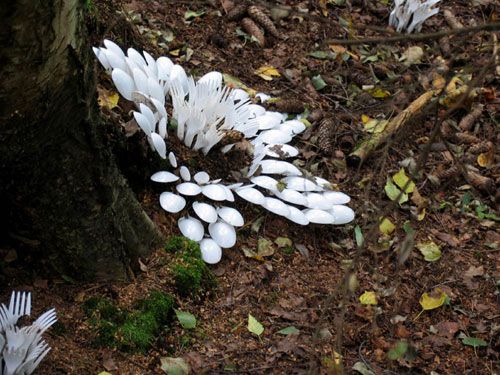 һ���Բ;�ƴ���e��ˇ�g(sh��)