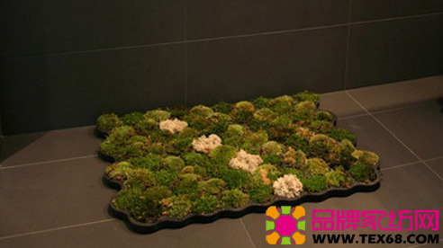 (chung  )̺׌ļҾӸ킀(g)