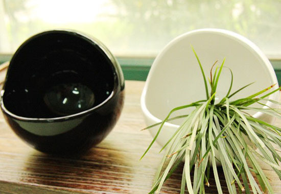 ɡ˄(chung  )⡱մɻƿ