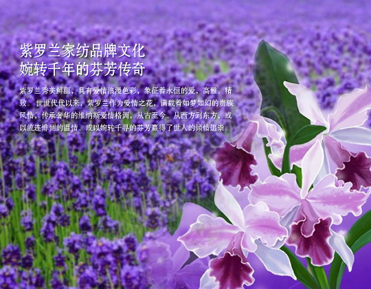 ���_�m�Ҽ�Ԋ(sh��)�����b