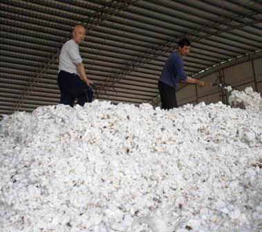 �ރr(ji��)�����µ� ���޳ɟo(w��)��֮�e