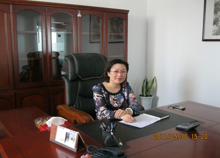 ��•�R�ɼҼ����D׃��2011