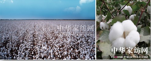 ���N�������N(xi��o)��һ�w�� ��(chu��ng  )����Ҽ��wϵ