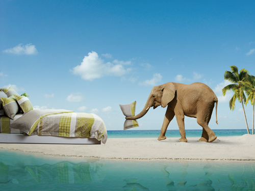 �������У���Ȼ���e��(ji��n)�s��(m��ng)