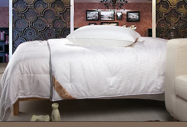 ��ܰ�Ӊ�(m��ng)�R�ж�ĸ�H��