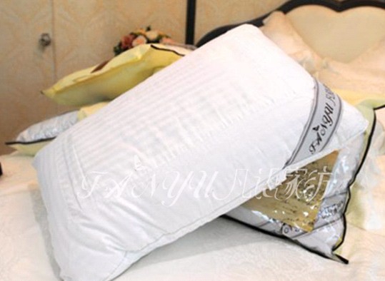 ���Z(y��)�Ҽ��������N(xi��o)�۵Č�(sh��)���ɣ��ϣ�