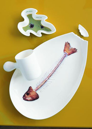 �ɐ�(��i)�Ŀ�ͨ�Ҿ��b�