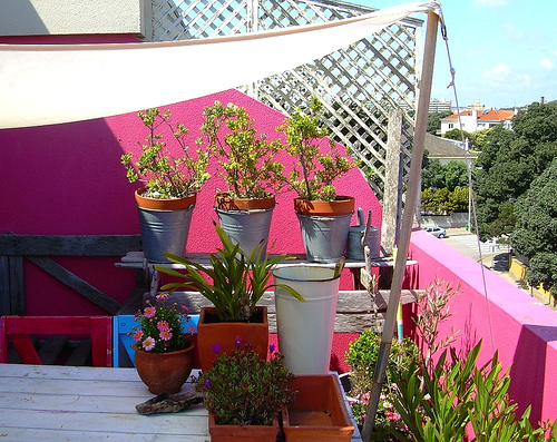 ���(sh��)�:ɫ���L(f��ng)���đ���֮��(��)