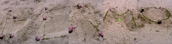 ӛ���z�Ҽ����̈F����u��