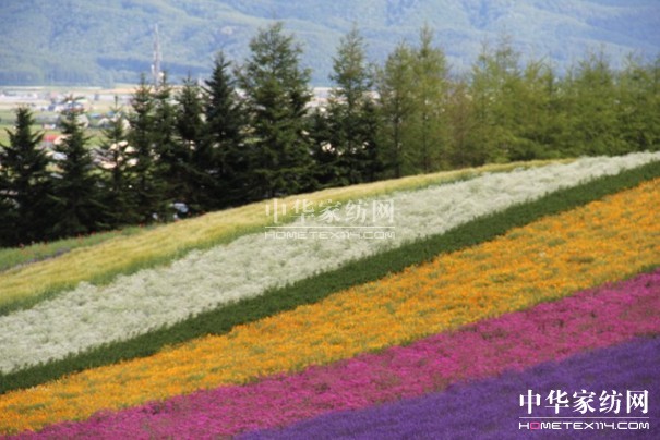 ����Ҽ���푡���(��i)�ڲ��������ϱ����������(d��ng)������