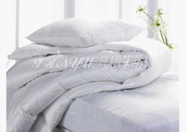 ���Z(y��)�Ҽ����۽���q����Ʒ��ϴ