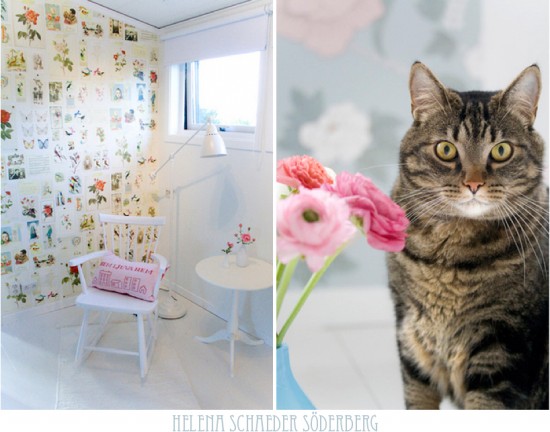 ˇg(sh)Helena(chung  )Ҿ