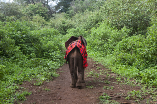 ���������"׃��"�����h�����J�B����