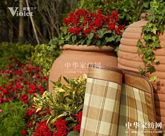 ���_�m�c�㹲�p����������