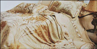 �Ҽ�ᘾ�(xi��n)���@��Ŗ|�����C�ûʼҼ�