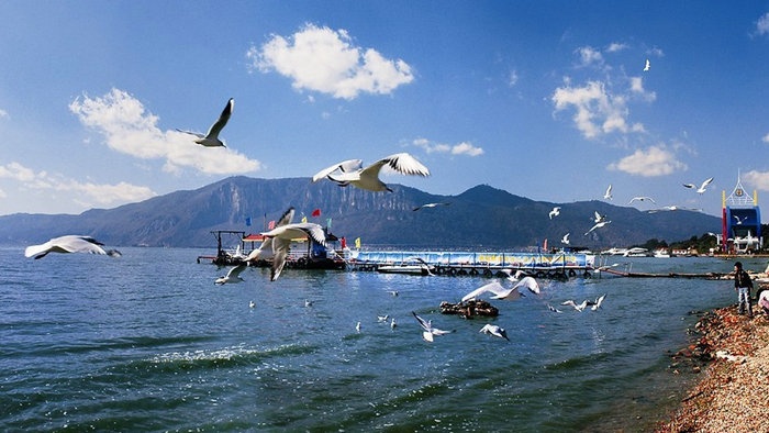 ������;һ·�����L(ch��ng)�ٻ�܇(ch��)��·��(xi��n)���]��1��