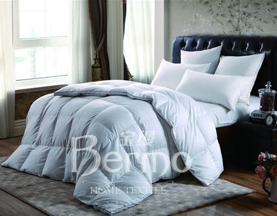 ���z�Ҽ�����¶���㡱��������