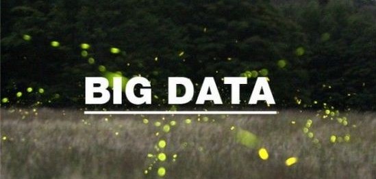 󔵓r(sh)δ(li)I(yng)N(xio)ľ