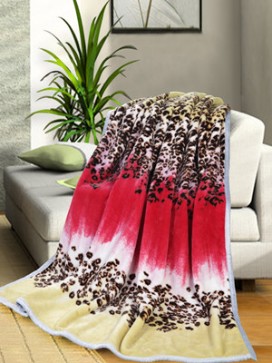 (mng)mҼƷƠI(yng)N(xio)ƼҼl(f)չ