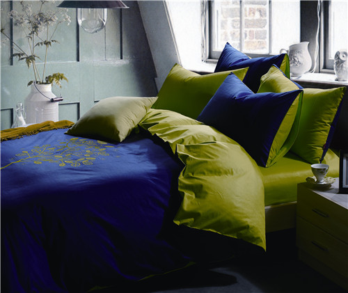 ���Ő�(��i)��ʥ���R