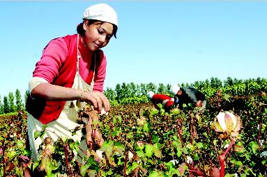 ½M(jn)ތ(sh)бN(xio)