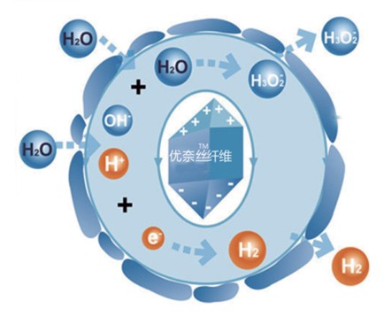 �{Ʒ�Ƽ���Ů�ԼҼ������o����