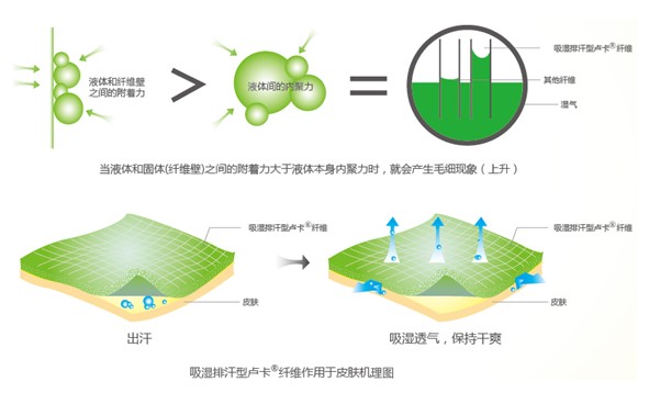 �{Ʒ����R���w�S����ˬ˯�߲��ǉ�(m��ng)��