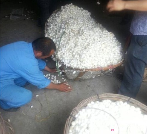 ͩldȵ_(ki)ʼُ괺O