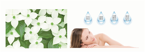 �{�׷���R���w�S���������z�y����ȫ�ɿ�