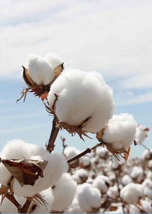 �W�ɼҼ������������ۼ���һ�ӵğ��