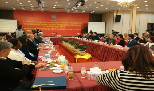 APEC��(hu�� )����20���������⽻���R�L(f��ng)�_���z�I