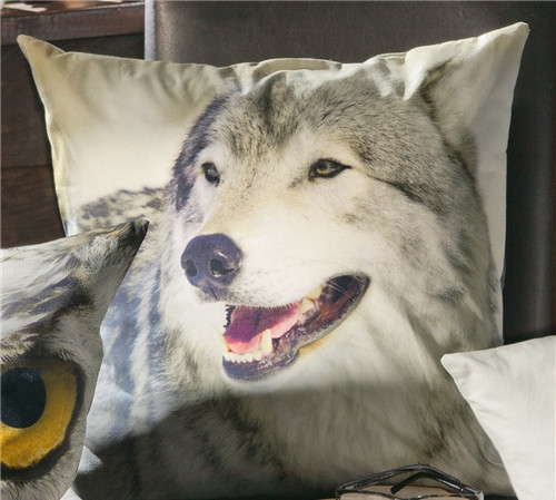 r(sh)мҼƷʥQԪؿ|C