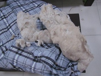 ˮ̾֓vһ޼ӹS(chng)